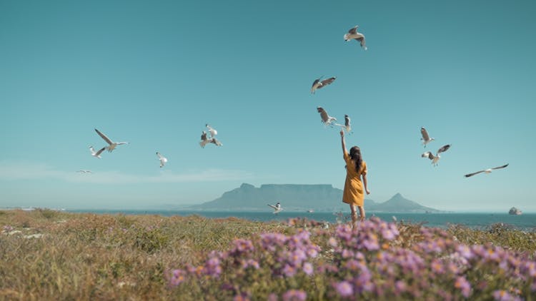 Woman Feeding Birds