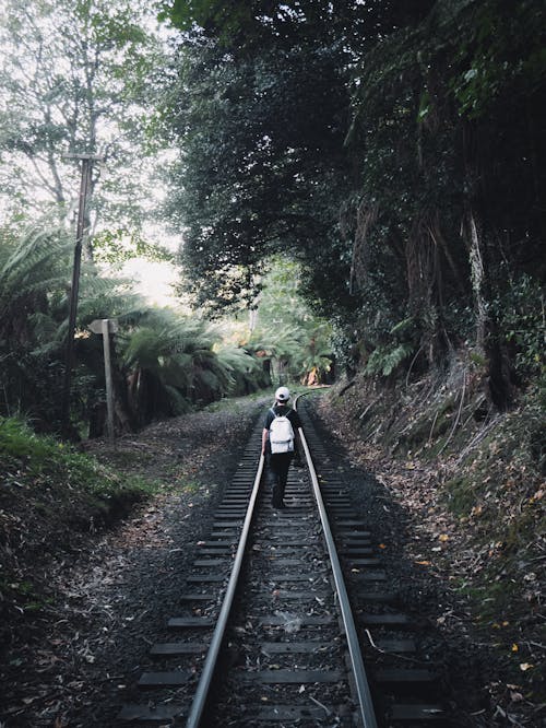 Gratis stockfoto met achteraanzicht, backpack, balustrade