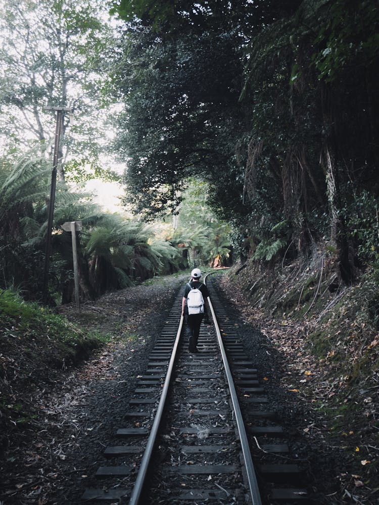 Person In Black Jacket Walking On Train Rail Between Green Trees