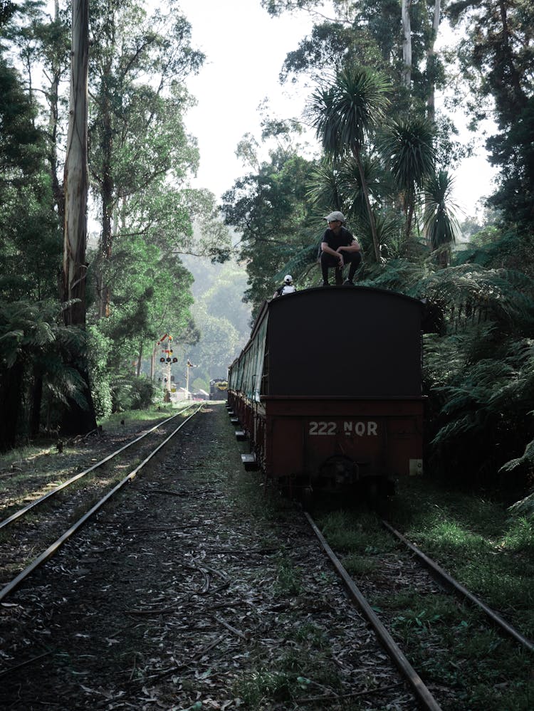 Man In Black Shirt Riding On Red Train