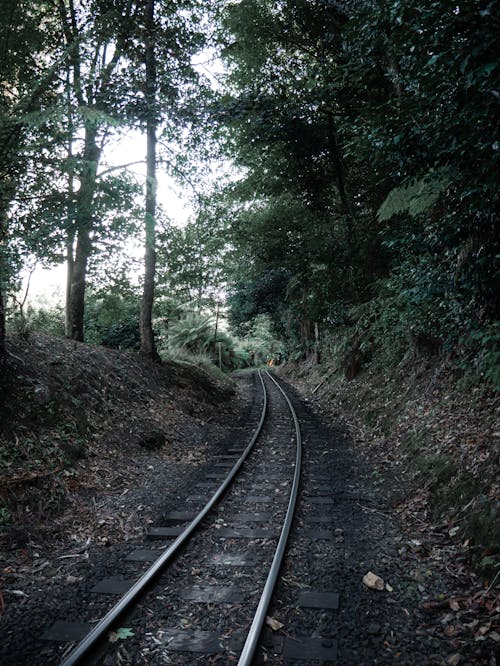 A Railroad in the Mountain Forest
