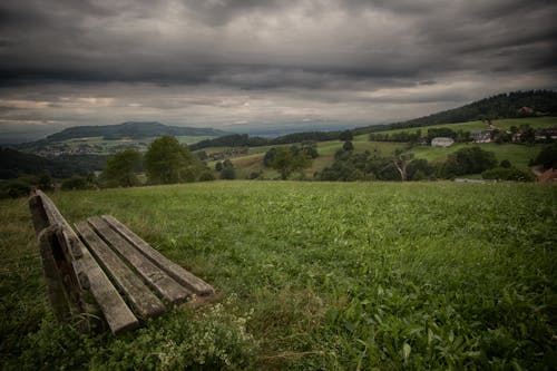 Brown Wooden Bench