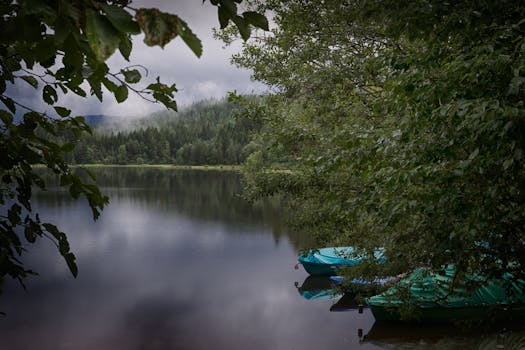 Idyllic scene of a serene lake surrounded by lush greenery and boats in Lenzkirch, Germany. Perfect for nature lovers.