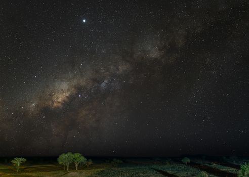 肯尼亚察沃宁静的景观上，银河与繁星闪耀，景色壮丽