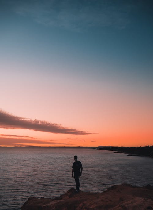 Silhouette of Person Standing on Seashore during Sunset