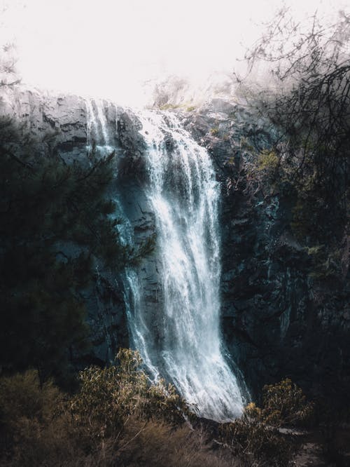 Waterfalls in Forest