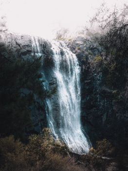 Stunning vertical waterfall flowing over rocky cliffs amidst a lush forest setting in Australia.