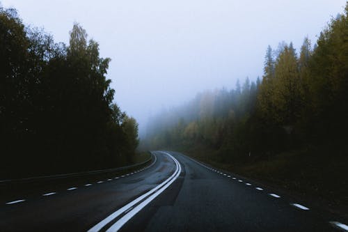 Gray Concrete Road Between Green Trees