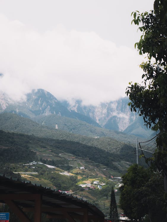 Free Green Trees on Mountain Under White Clouds Stock Photo