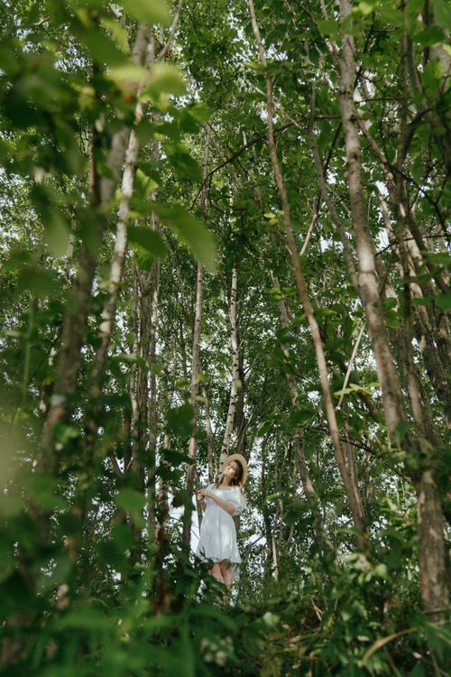 Free A woman in a straw hat stands among tall trees in a lush summer forest. Stock Photo