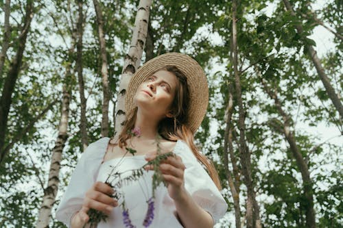 ağaçlar, aramak, beyaz kadın içeren Ücretsiz stok fotoğraf