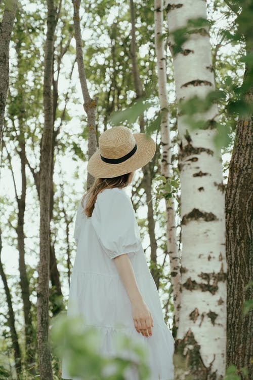 Free A Person in White Dress and Brown Hat Standing in Forest Stock Photo