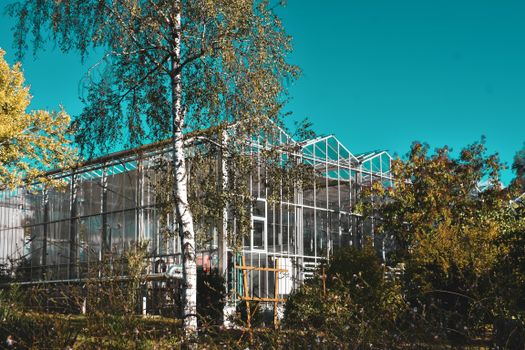 Glasshouse with transparent glass walls among lush green plants on sunny day in countryside