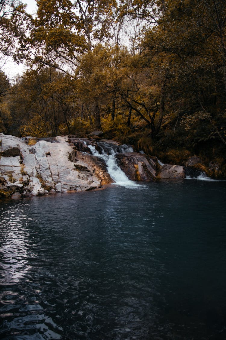 Water Flowing On The Stream