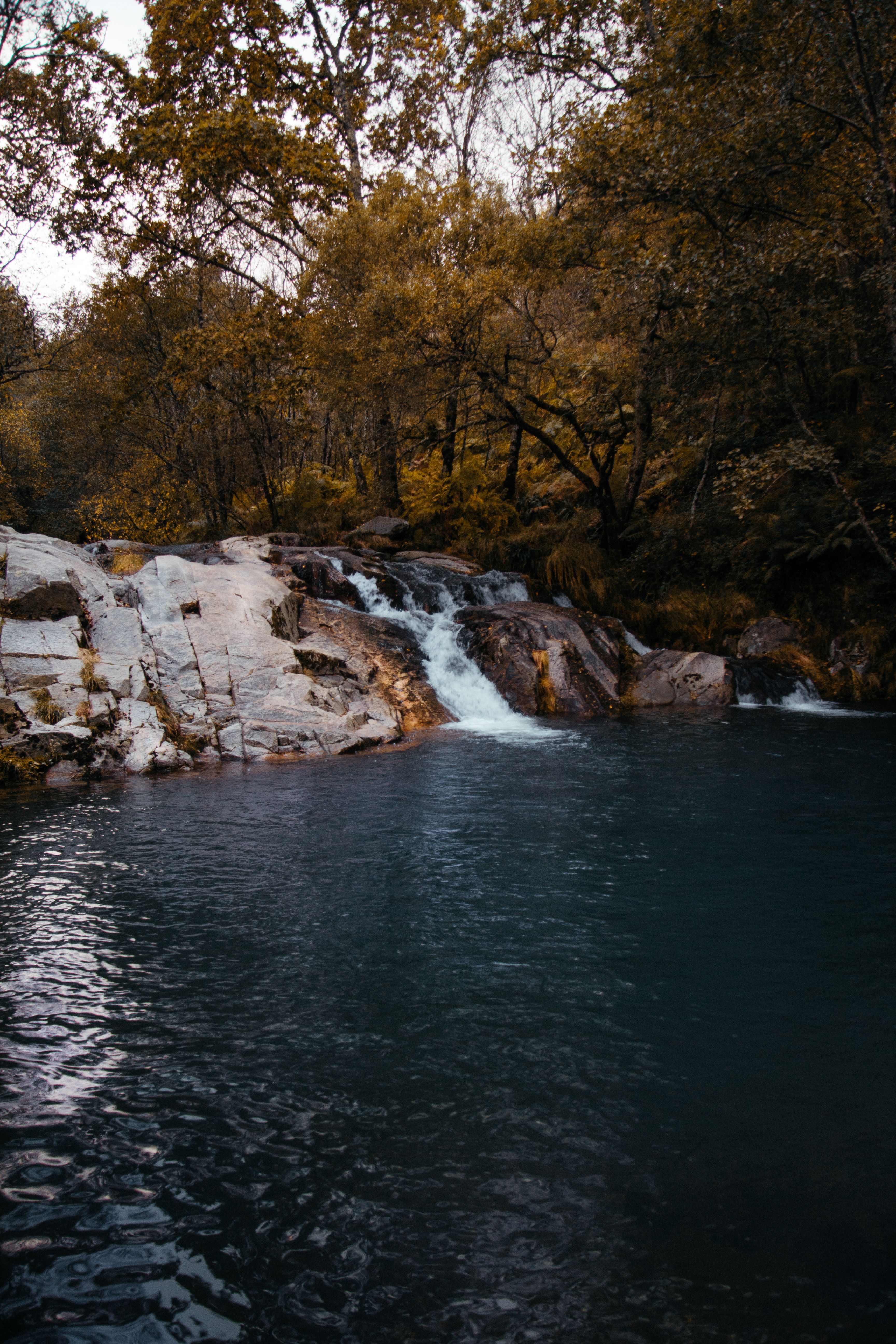 263.250+ Fotos y Imágenes de Fall office background Gratis · Banco de ...