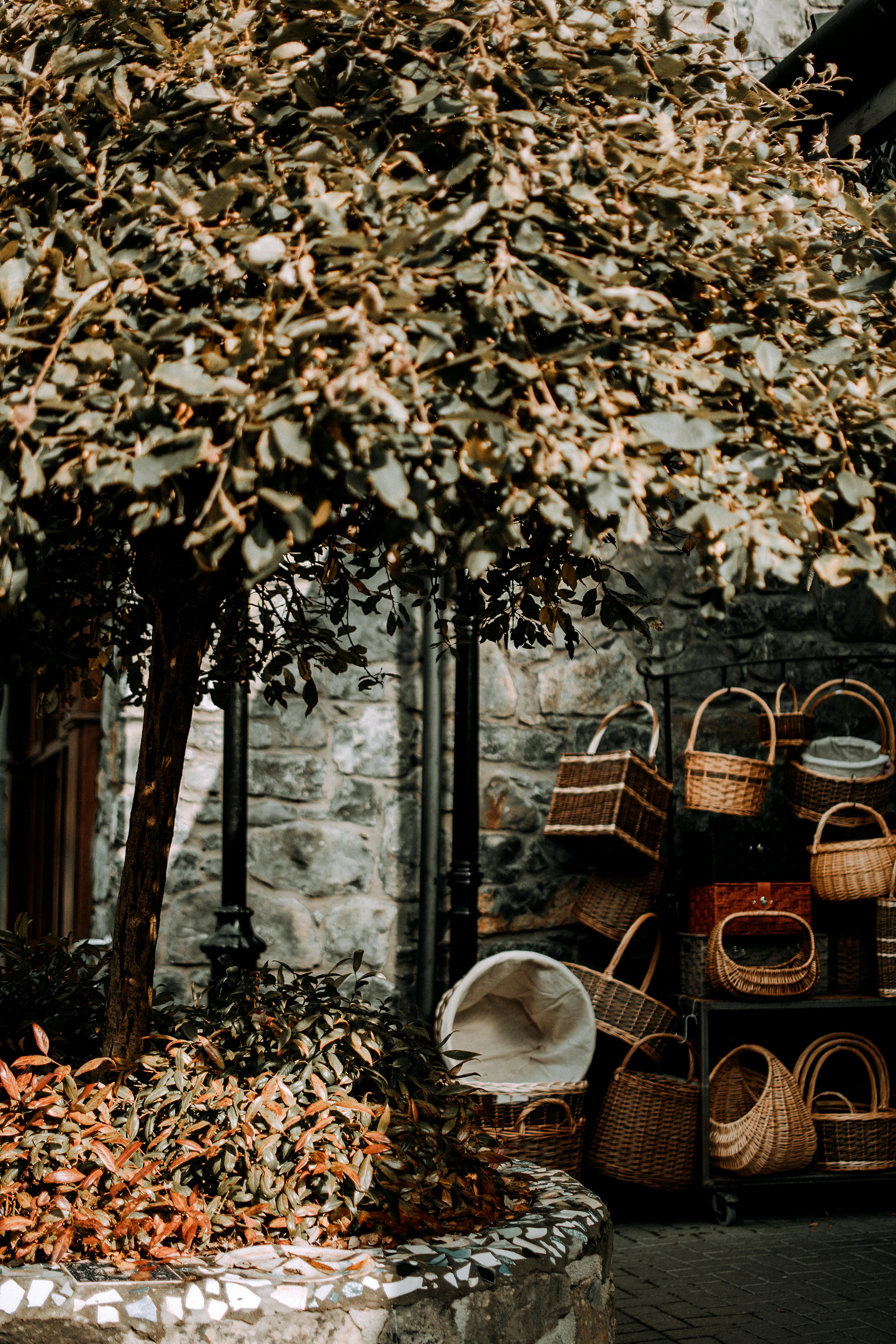 Baskets under Tree · Free Stock Photo