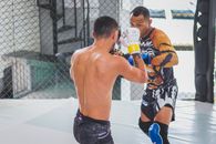 Photo of Two Boxers