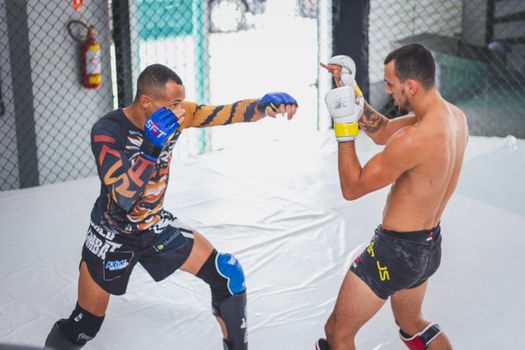 A digital overlay showing real-time fight data during a professional MMA match.
