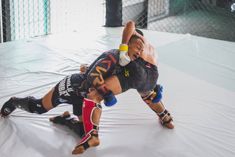 Men Wrestling In Cage