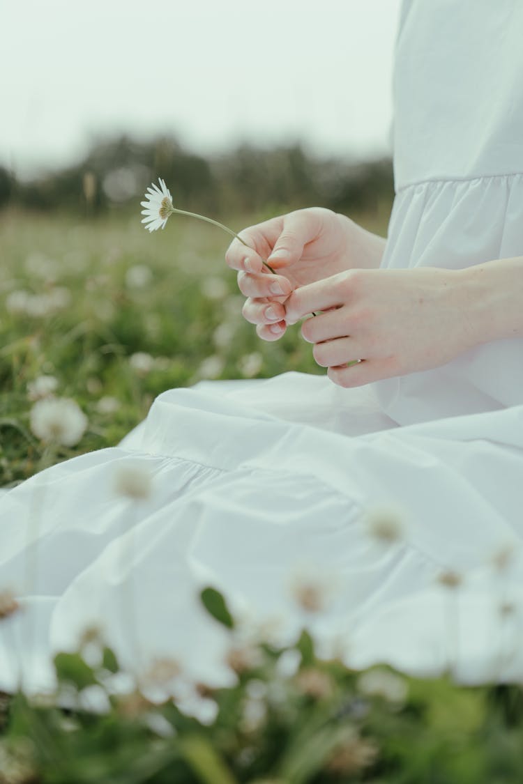 Person Holding White Flower