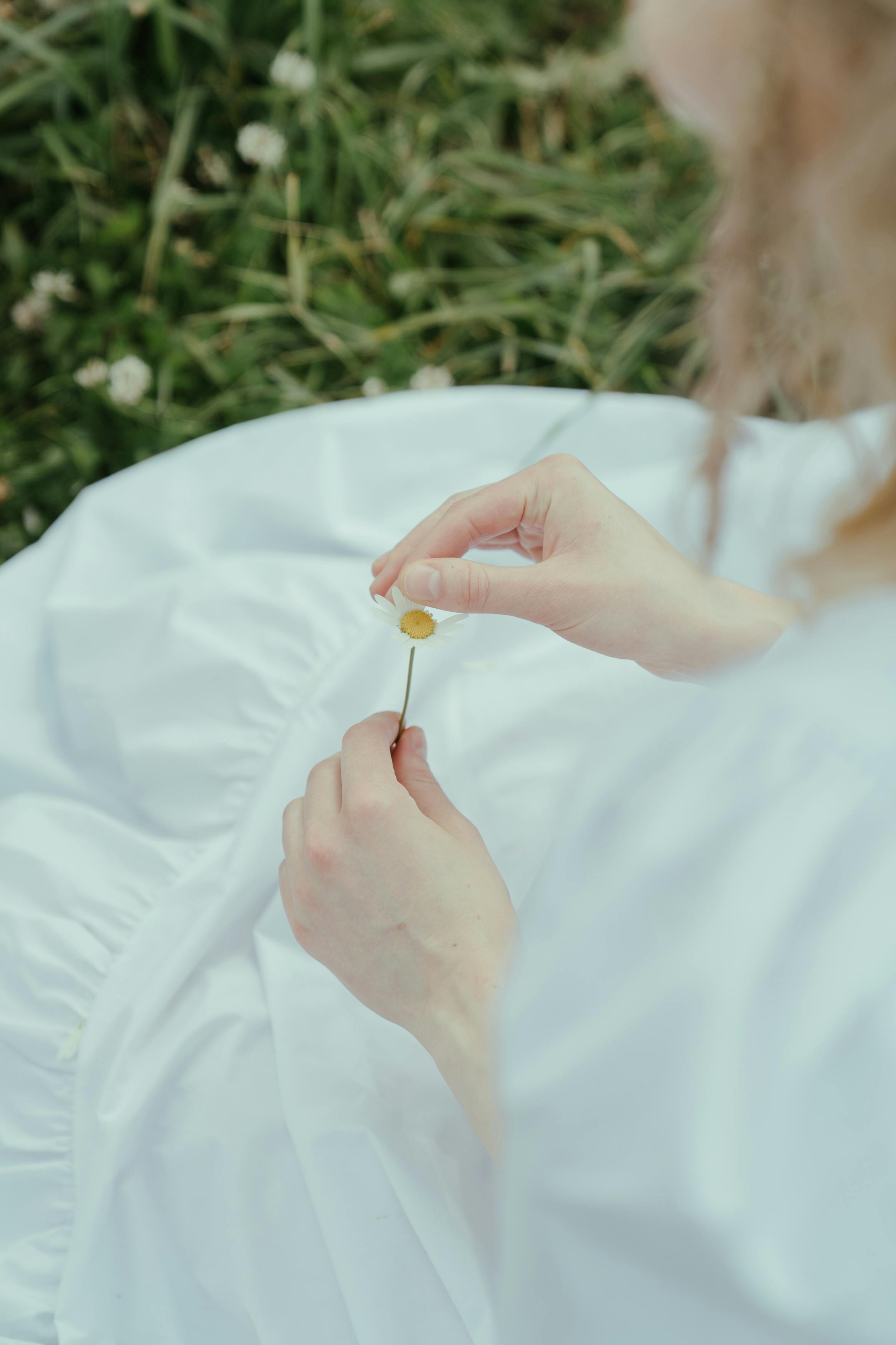 宁静的图像中，一个女人在长满草的草地上，轻轻拿着一朵洋地黄花