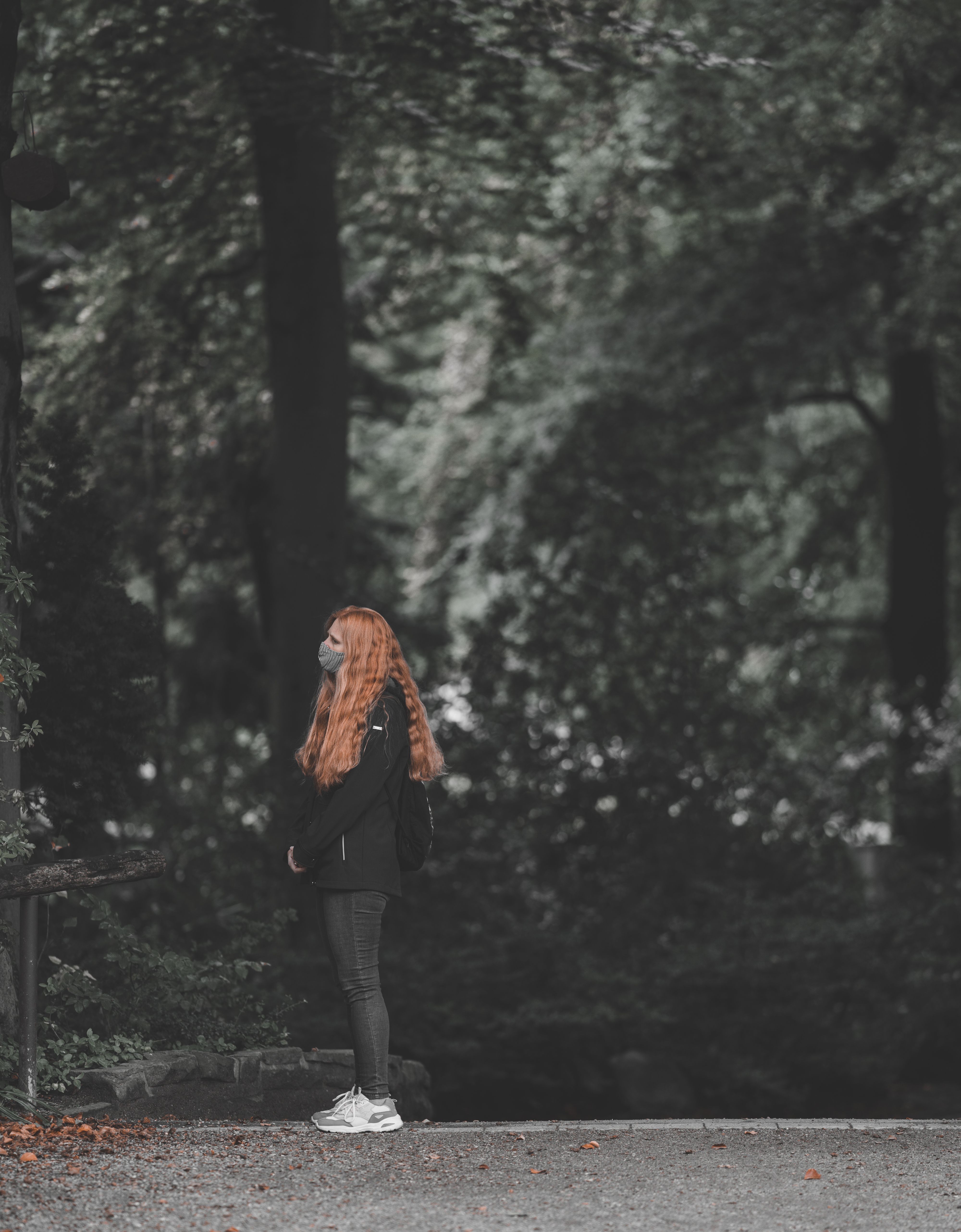 Woman in Black Jacket Standing on Forest · Free Stock Photo