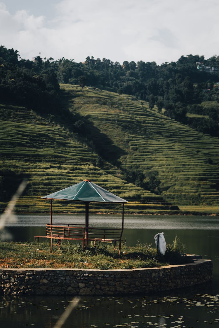 Green Grass Terraces Near Lake