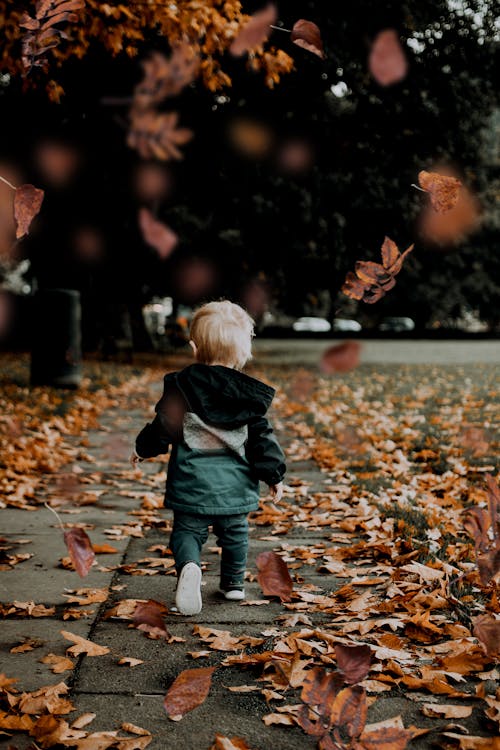 Free A Child Walking On The Street With Fallen Leaves Stock Photo