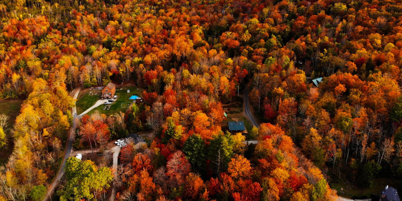 Aerial view of rural New England homes surrounded by red and orange autumn trees