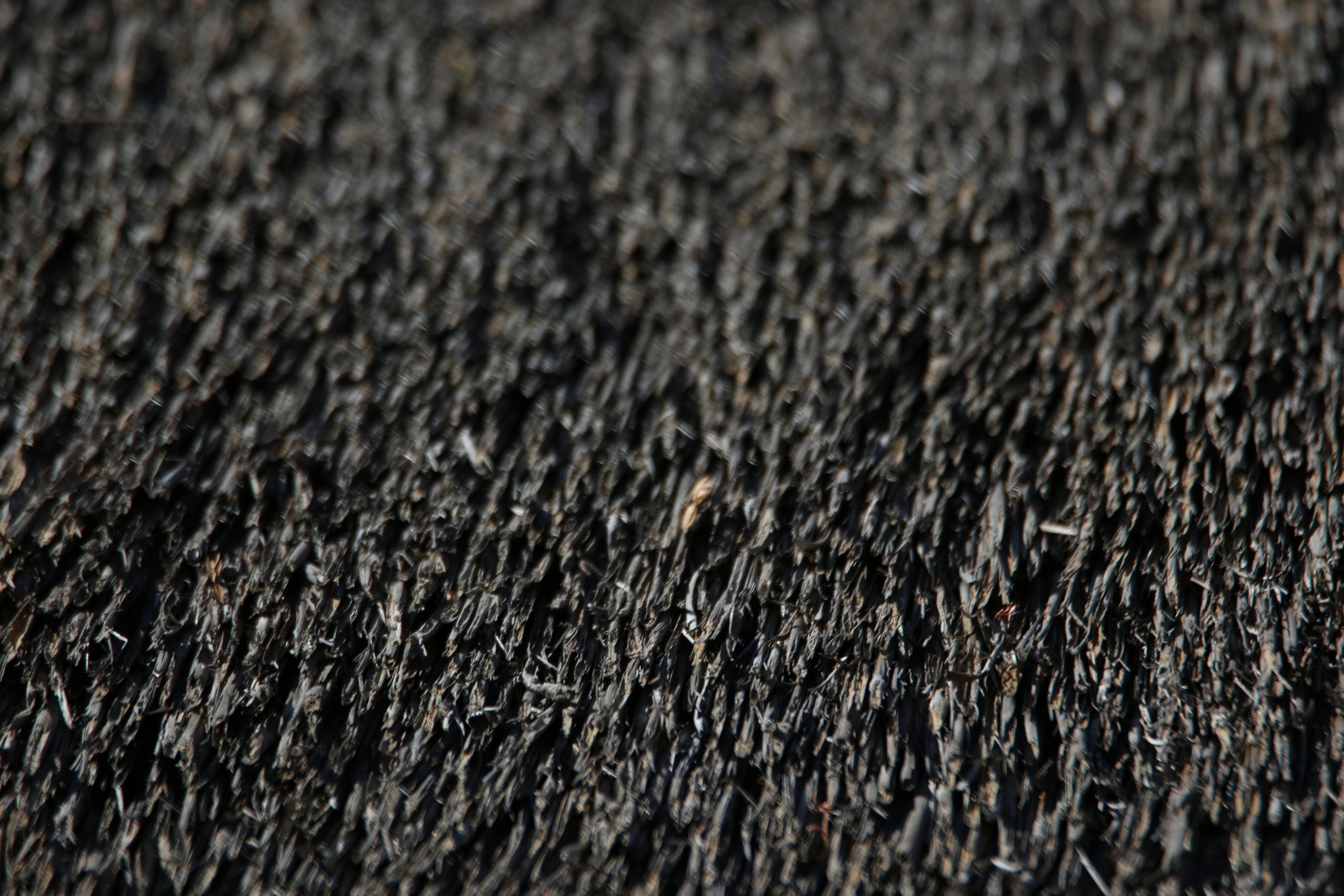 Free stock photo of background, black, brown