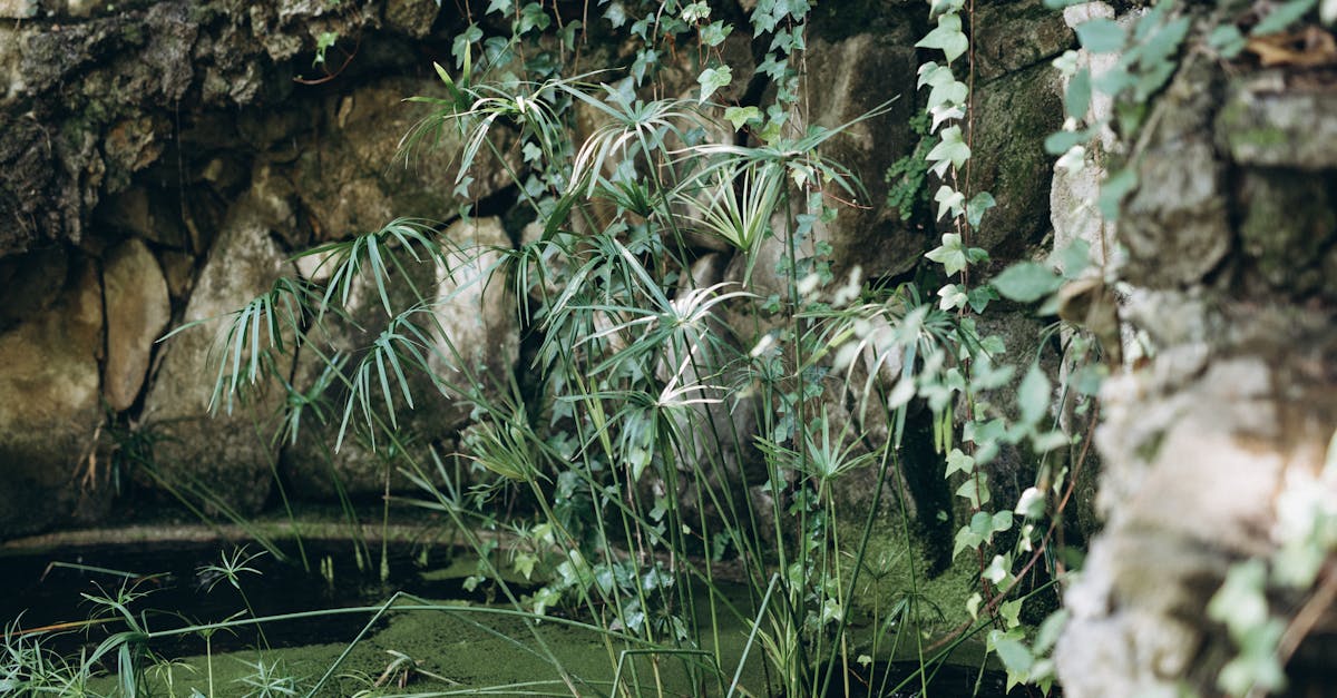 Uncovering the Best Hidden Gems in London