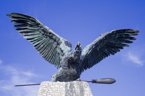 Free stock photo of large, large bird, monument