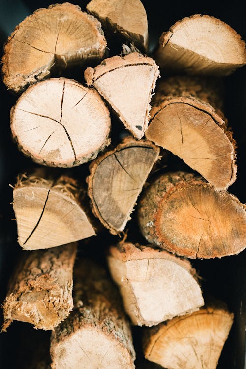 Free A Stack Of Firewoods Stock Photo