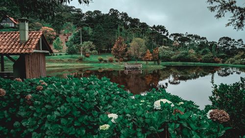 Free A tranquil scene of a lakeside garden surrounded by lush greenery and rustic architecture, perfect for relaxation. Stock Photo