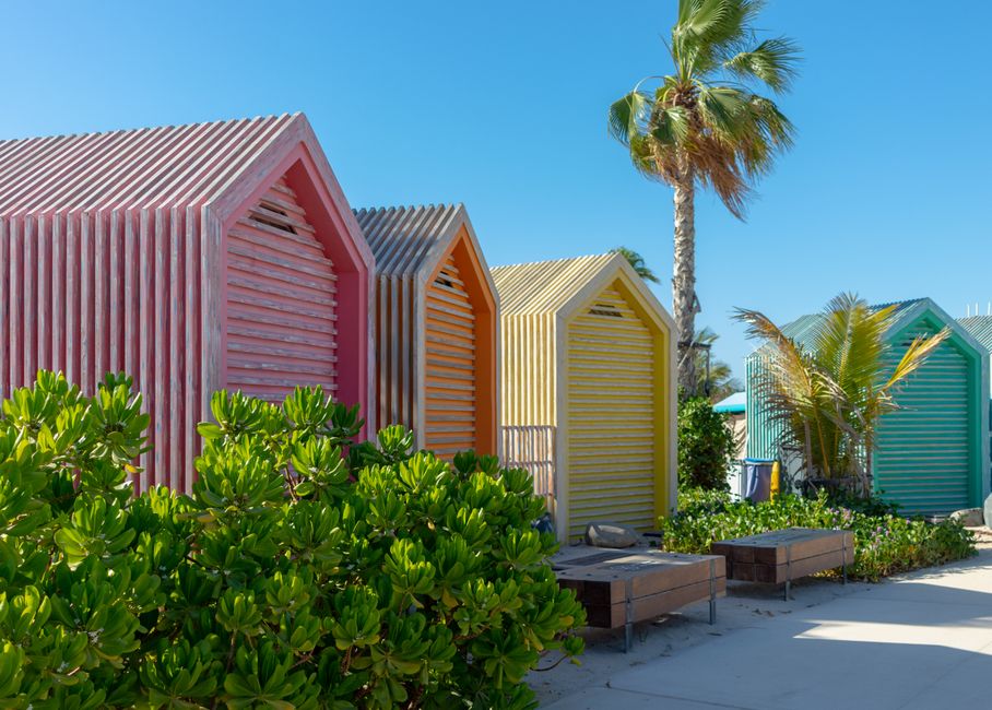 colorful beach huts with palm trees tropical setting