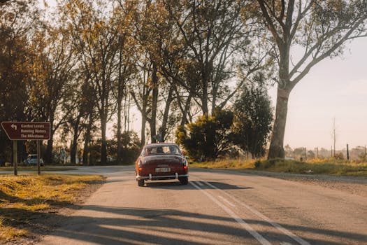 A classic vintage car travels down an empty country road surrounded by tall trees in warm evening light.