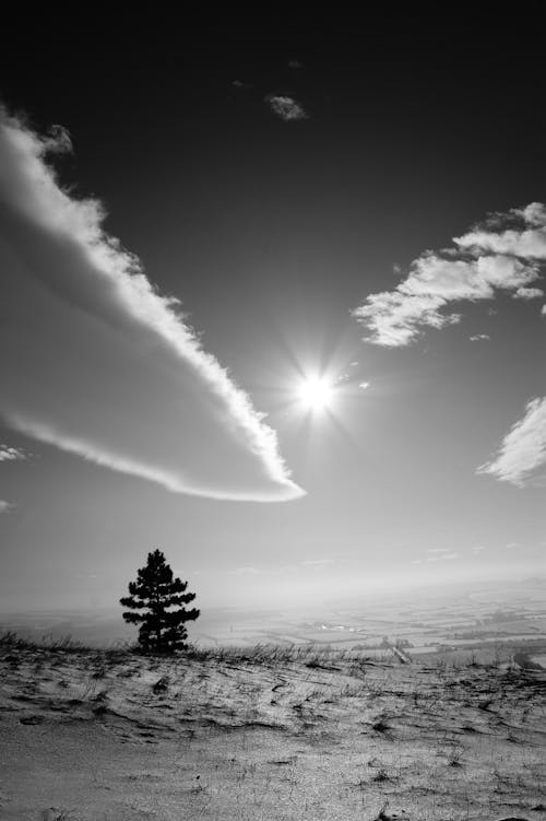 Free stock photo of snow, winter