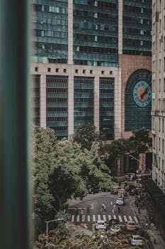 Image by michelle guimarães