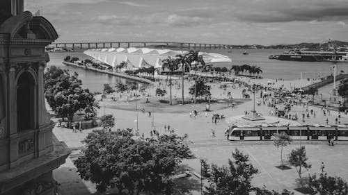 Brezilya, gri tonlama, park içeren Ücretsiz stok fotoğraf