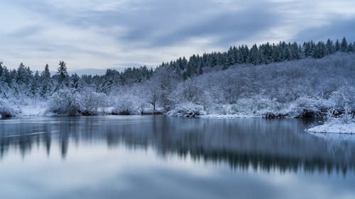 Beautiful Mountain Winter Landscape In Grayscale