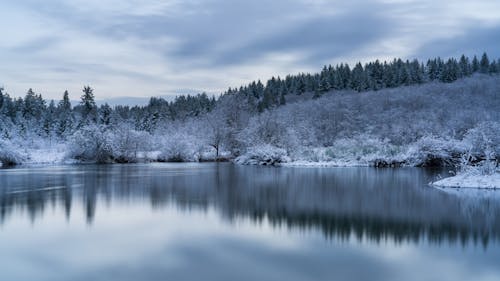 Kostenloses Stock Foto zu bäume, berg, dämmerung