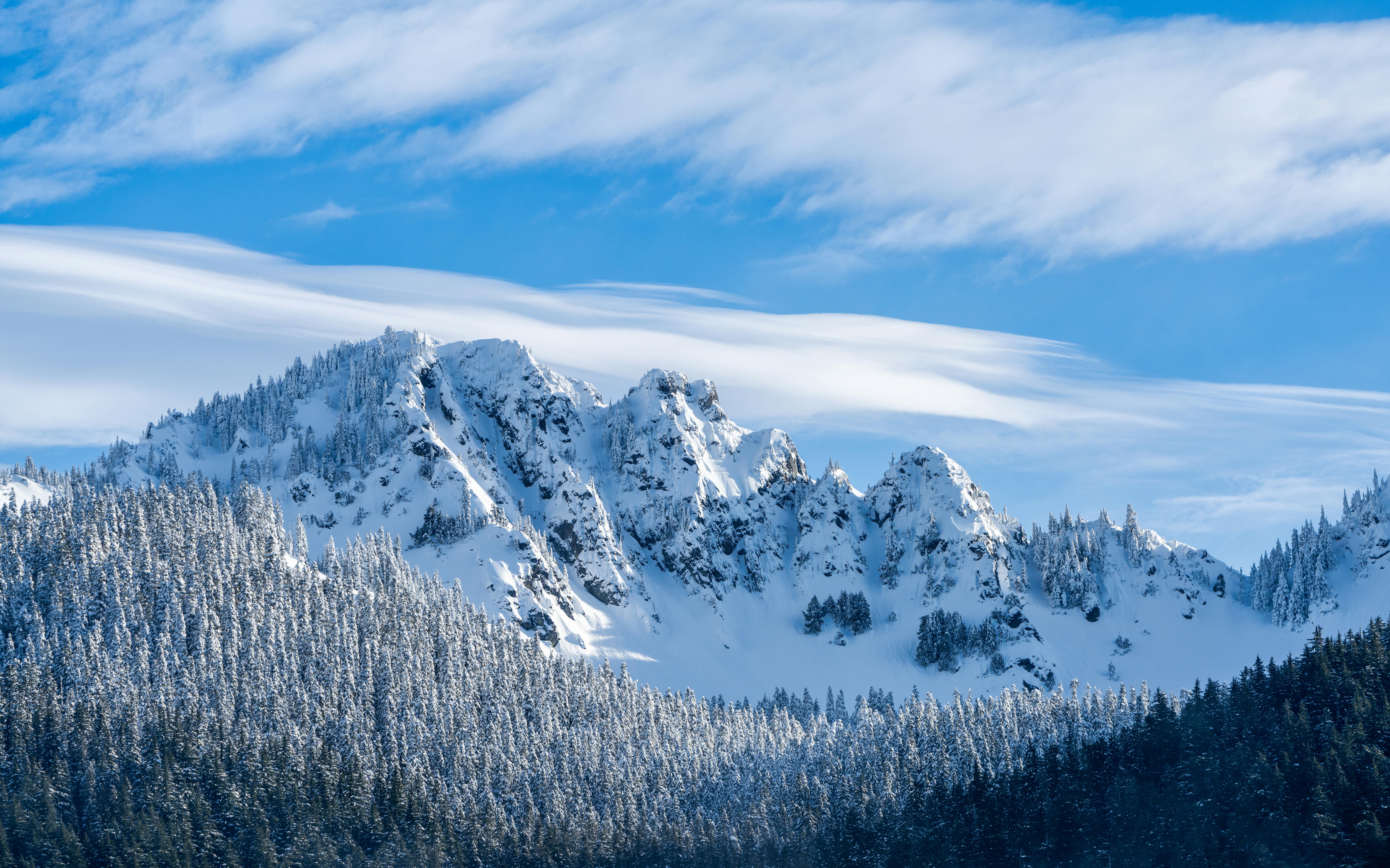 A stunning view of snow-covered mountains and forests under a clear blue sky, capturing the winter beauty.