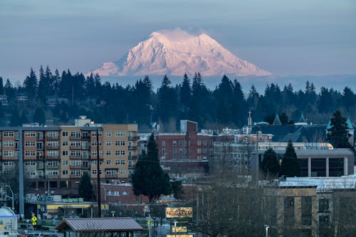 A City Near Green Trees and Snow Covered Mountain