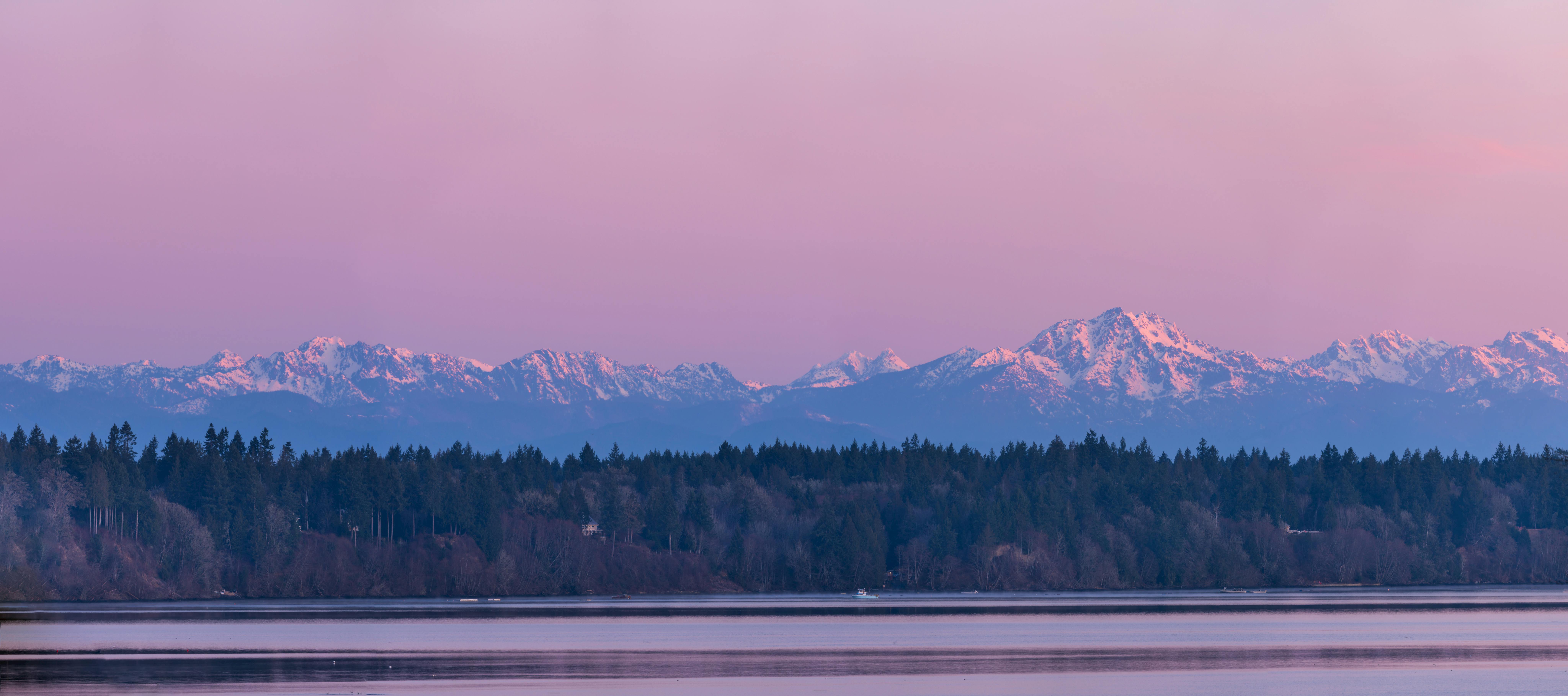 Panoramic view of snow-capped mountains and forest at winter twilight.