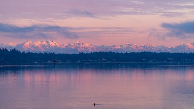 Capture of the Olympic Mountains casting a serene reflection over a vibrant lake at sunset.