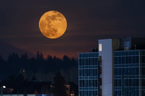 Photos gratuites de ciel de nuit, ciel spectaculaire, citadin