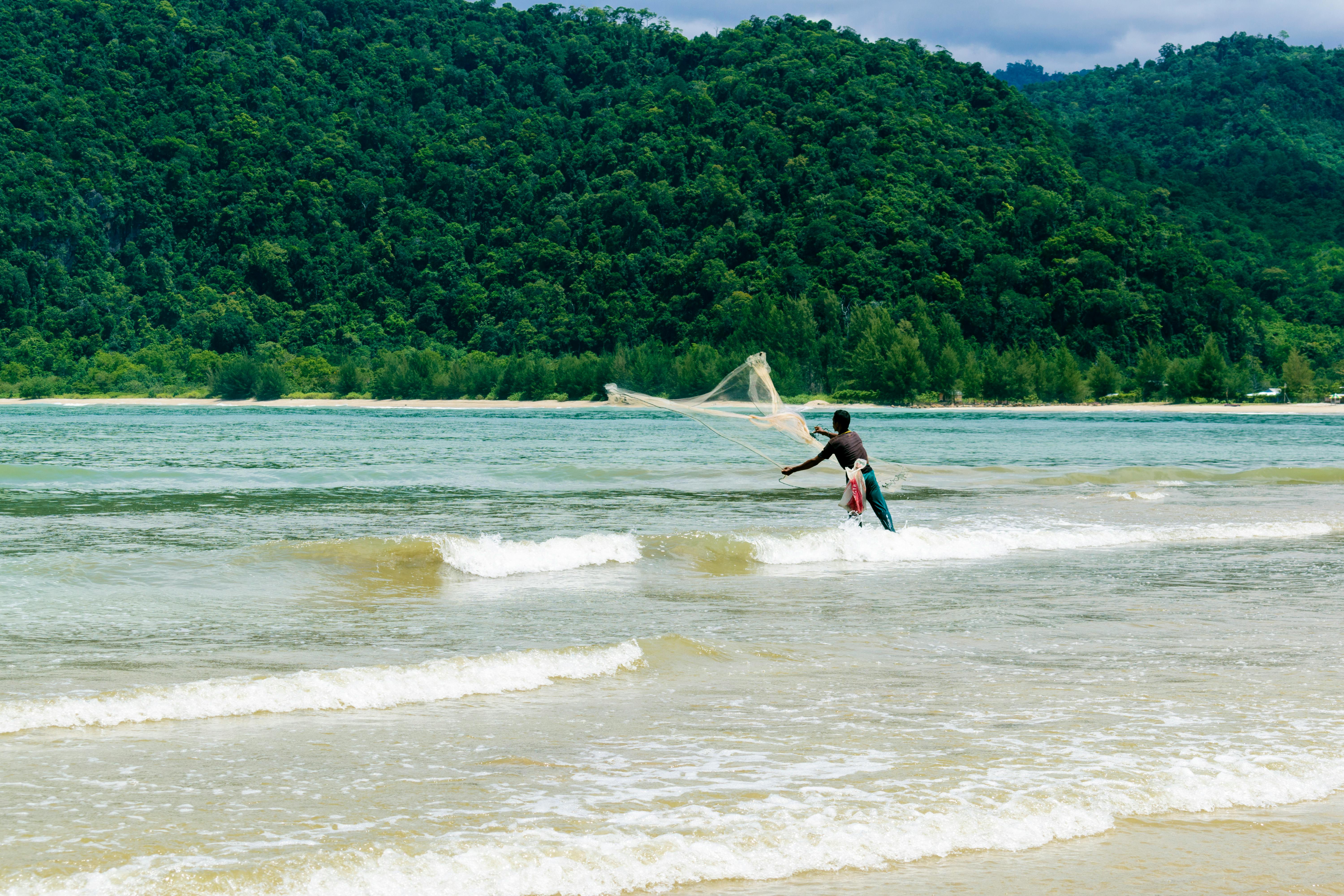 A solitary fisherman skillfully throws his net in shallow coastal waters against a lush green forest backdrop.