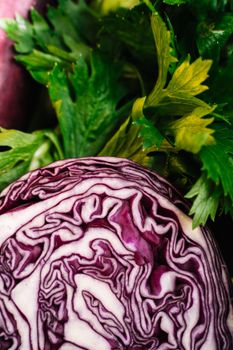 Detailed close-up of purple cabbage and fresh celery, showcasing textures and colors.