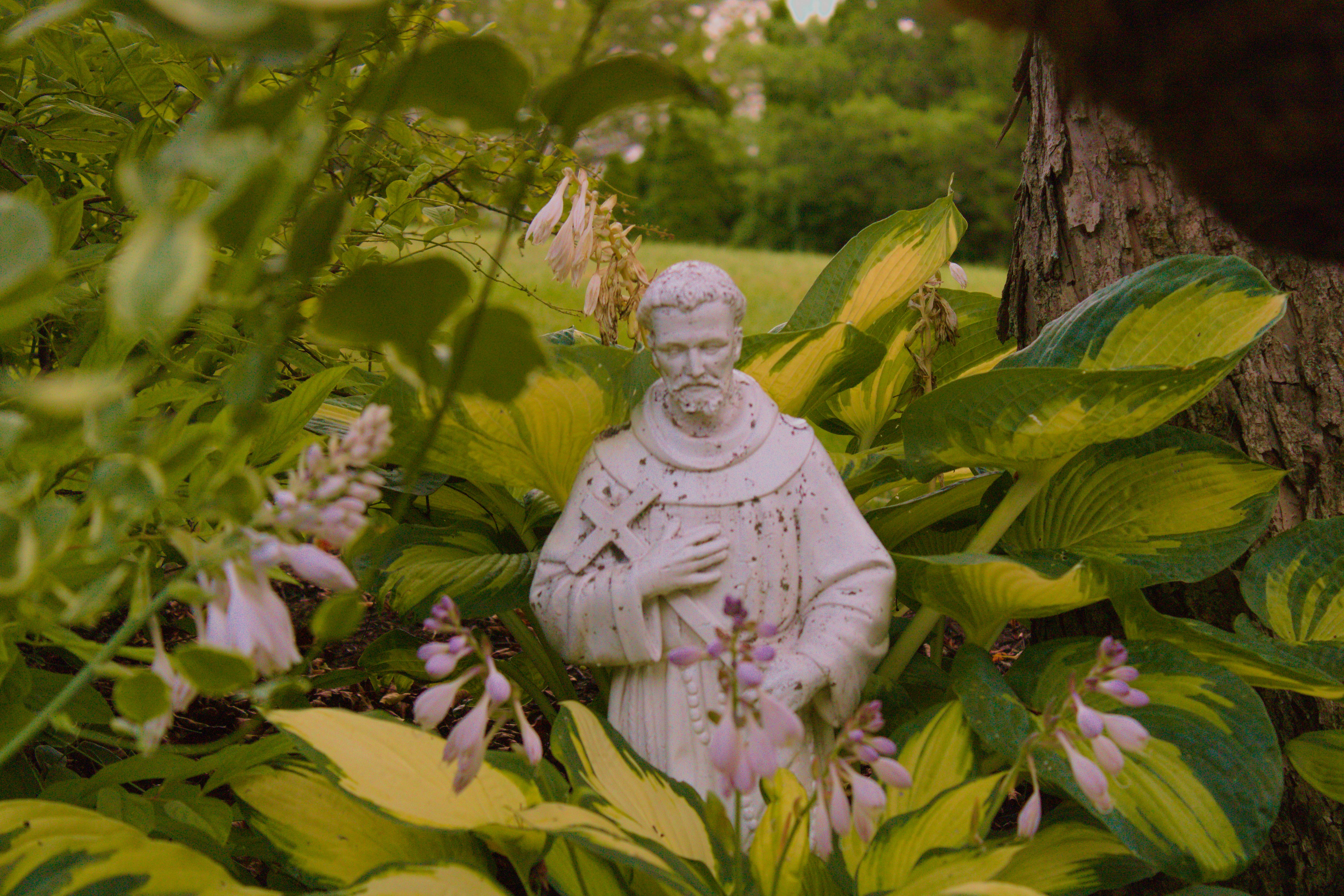 A White Catholic Statue Surrounded by Green Leaves · Free Stock Photo