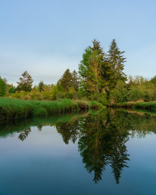 Free Reflections of a Peaceful and Placid Lake Stock Photo